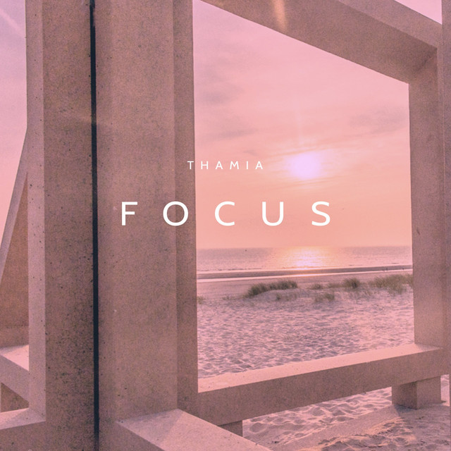 Hitsingle Focus  van Thamia