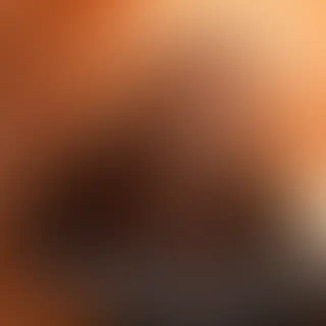 Muziek Is Mijn Leven